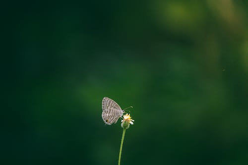 个人网站怎么制作