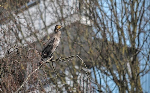 通过网站让你的业务更具有可见性