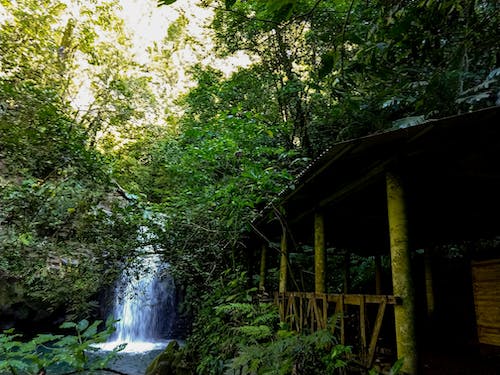 通过网站提高你的品牌知名度